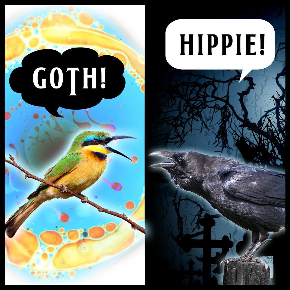 12771807_10156564426555022_3912788590323122987_o