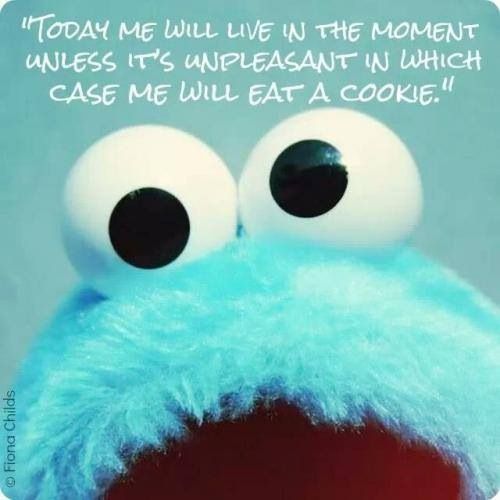 cookie-monster