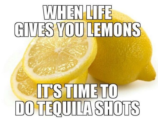 MEMES-2014-When-Life-Gives-You-Lemons