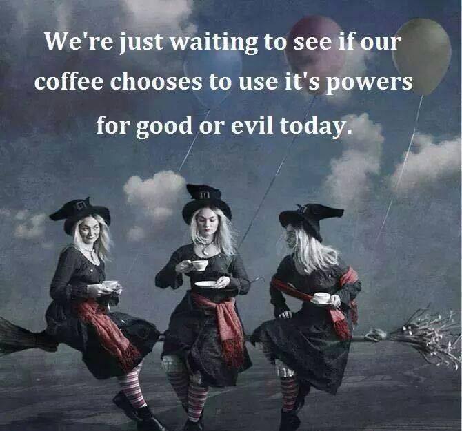 11960030_1898015320424624_1940743470970879045_n