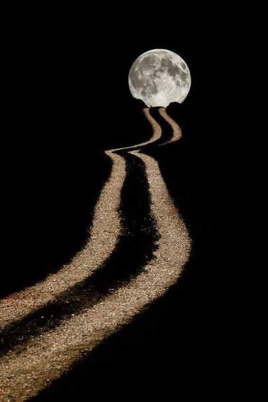 MOONLIT PATH