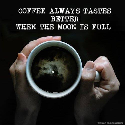 COFFEE MOON