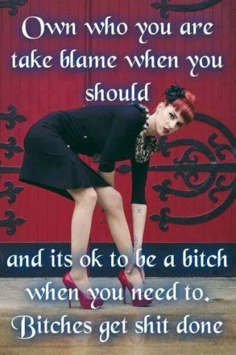 BitchesGetShitDone.JPG