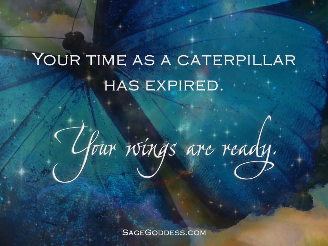 SG WINGS ARE READY.jpg