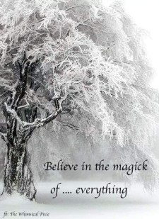 BELIEVE IN THE MAGICK OF EVERYTHING.JPG